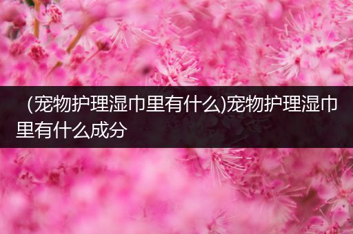 （宠物护理湿巾里有什么)宠物护理湿巾里有什么成分