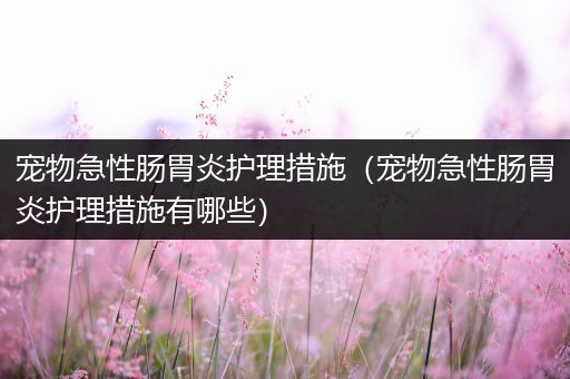 宠物急性肠胃炎护理措施（宠物急性肠胃炎护理措施有哪些）