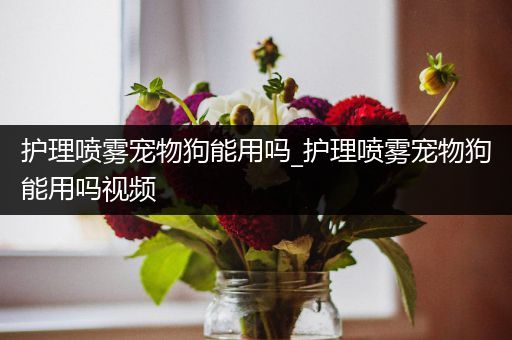护理喷雾宠物狗能用吗_护理喷雾宠物狗能用吗视频