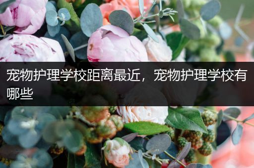 宠物护理学校距离最近，宠物护理学校有哪些