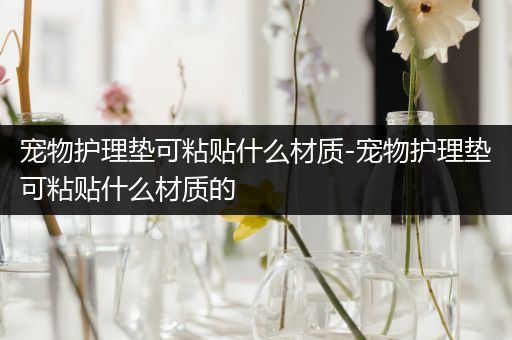 宠物护理垫可粘贴什么材质-宠物护理垫可粘贴什么材质的