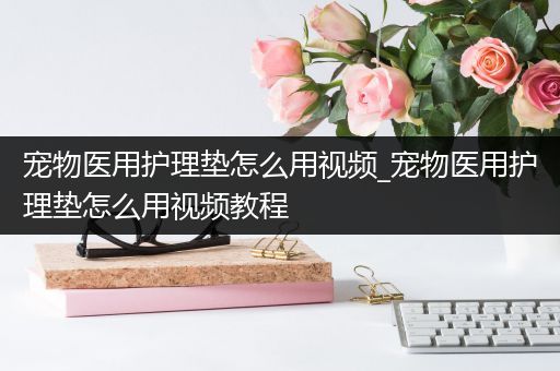 宠物医用护理垫怎么用视频_宠物医用护理垫怎么用视频教程