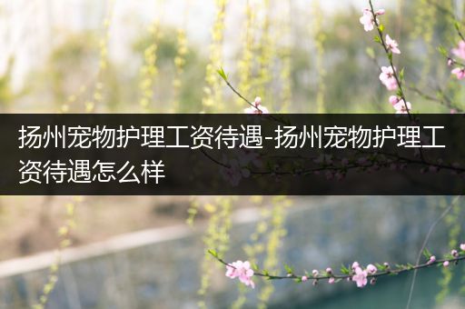 扬州宠物护理工资待遇-扬州宠物护理工资待遇怎么样