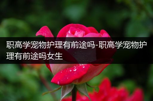 职高学宠物护理有前途吗-职高学宠物护理有前途吗女生
