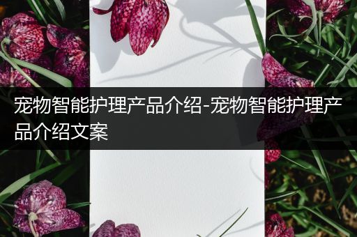 宠物智能护理产品介绍-宠物智能护理产品介绍文案