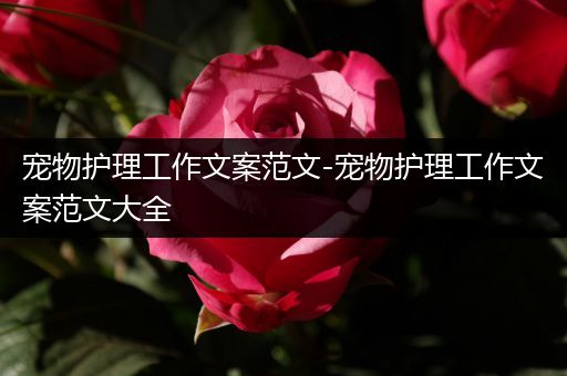 宠物护理工作文案范文-宠物护理工作文案范文大全