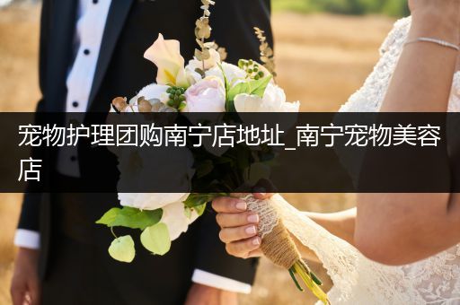 宠物护理团购南宁店地址_南宁宠物美容店