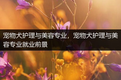 宠物犬护理与美容专业，宠物犬护理与美容专业就业前景