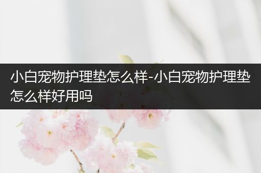小白宠物护理垫怎么样-小白宠物护理垫怎么样好用吗